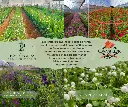 _workshop (51).webp